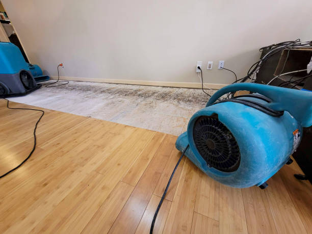 Professional Structural Drying technician working in East Bridgewater, MA